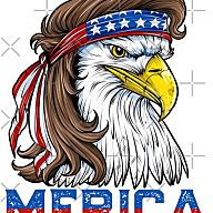 Team America Team Logo Image